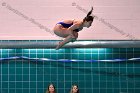 Swimming & Diving vs Babson  Swimming & Diving vs Babson College. - Photo by Keith Nordstrom : Wheaton, Swimming